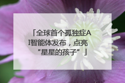全球首个孤独症AI智能体发布，点亮“星星的孩子”