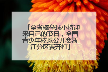 全省棒垒球小将迎来自己的节日，全国青少年棒球公开赛浙江分区赛开打