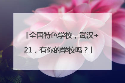 全国特色学校，武汉+21，有你的学校吗？