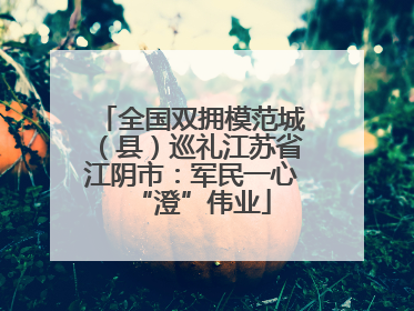 全国双拥模范城（县）巡礼江苏省江阴市：军民一心“澄”伟业