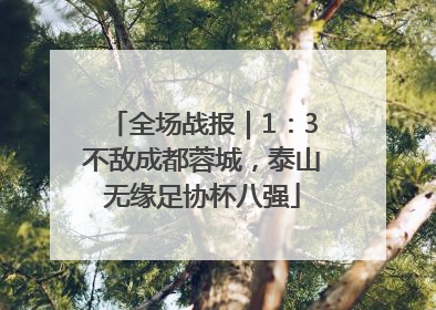 全场战报｜1：3不敌成都蓉城，泰山无缘足协杯八强