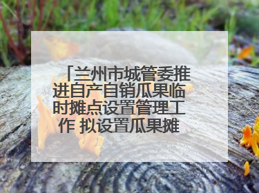 兰州市城管委推进自产自销瓜果临时摊点设置管理工作 拟设置瓜果摊点2000余个