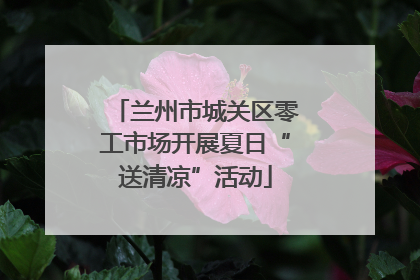 兰州市城关区零工市场开展夏日“送清凉”活动