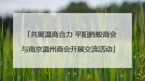 共聚温商合力 平阳腾蛟商会与南京温州商会开展交流活动