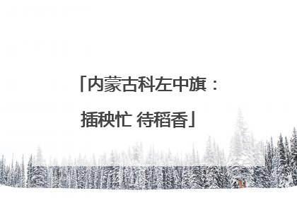 内蒙古科左中旗：插秧忙 待稻香