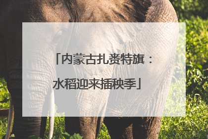 内蒙古扎赉特旗：水稻迎来插秧季