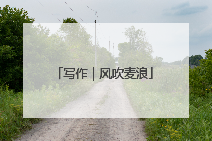 写作｜风吹麦浪