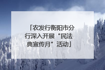 农发行衡阳市分行深入开展“民法典宣传月”活动