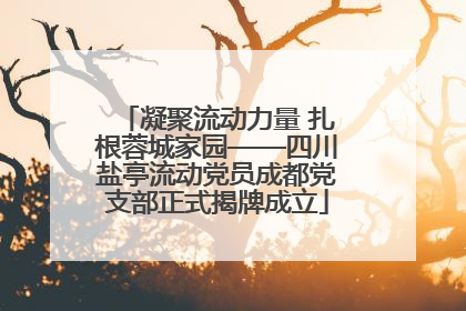 凝聚流动力量 扎根蓉城家园——四川盐亭流动党员成都党支部正式揭牌成立