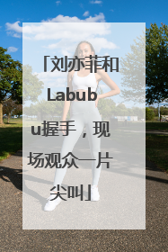 刘亦菲和Labubu握手，现场观众一片尖叫