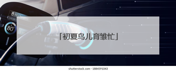 初夏鸟儿育雏忙