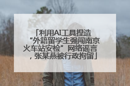 利用AI工具捏造 “外籍留学生强闯南京火车站安检”网络谣言，张某燕被行政拘留