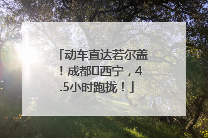 动车直达若尔盖！成都⇄西宁，4.5小时跑拢！