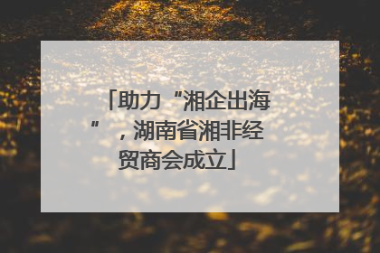 助力“湘企出海”，湖南省湘非经贸商会成立