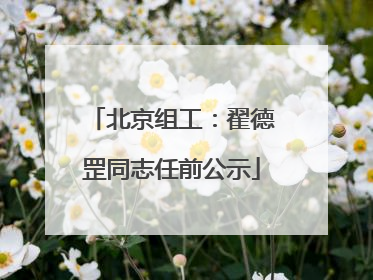 北京组工：翟德罡同志任前公示