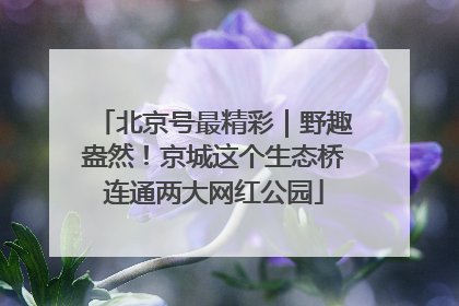 北京号最精彩｜野趣盎然！京城这个生态桥连通两大网红公园