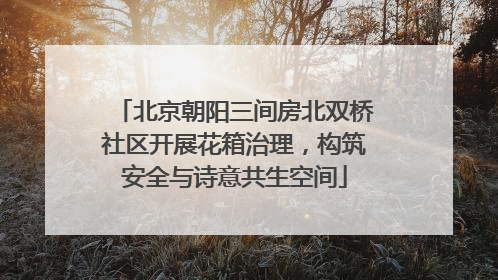 北京朝阳三间房北双桥社区开展花箱治理，构筑安全与诗意共生空间