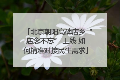 北京朝阳高碑店乡“店念不忘” 上线 如何精准对接民生需求