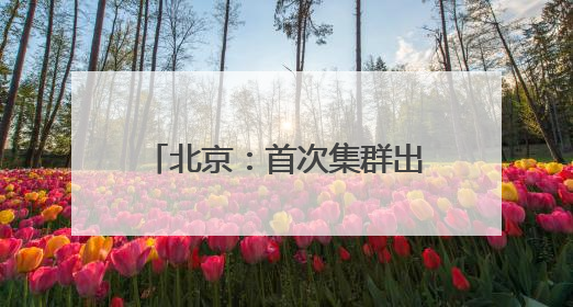 北京：首次集群出现，世界极危物种黄胸鹀到访野鸭湖