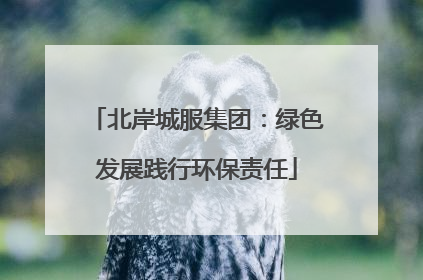 北岸城服集团：绿色发展践行环保责任