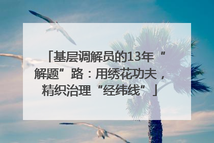 基层调解员的13年“解题”路：用绣花功夫，精织治理“经纬线”