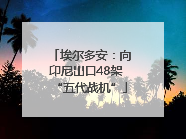 埃尔多安：向印尼出口48架“五代战机”