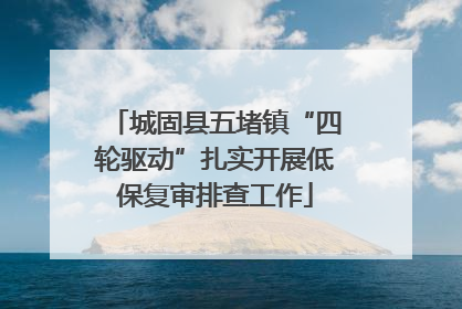城固县五堵镇“四轮驱动”扎实开展低保复审排查工作