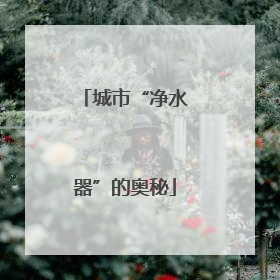 城市“净水器”的奥秘