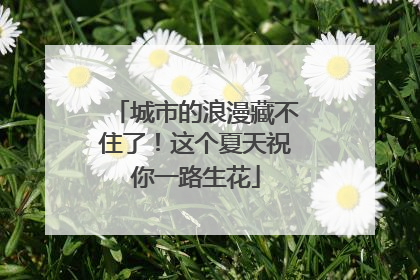 城市的浪漫藏不住了！这个夏天祝你一路生花