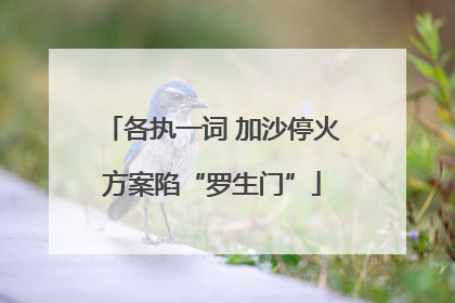 各执一词 加沙停火方案陷“罗生门”