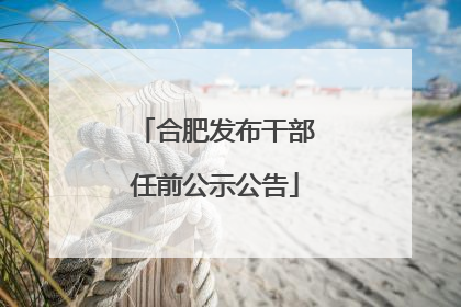 合肥发布干部任前公示公告