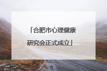 合肥市心理健康研究会正式成立