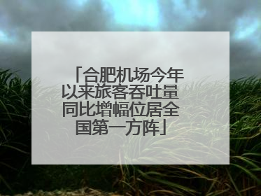 合肥机场今年以来旅客吞吐量同比增幅位居全国第一方阵