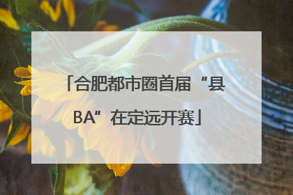 合肥都市圈首届“县BA”在定远开赛