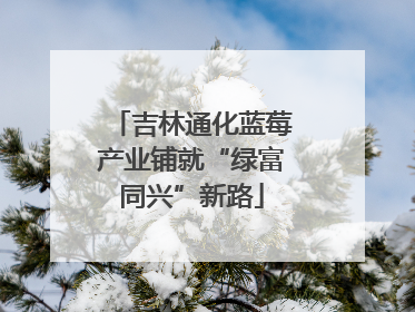 吉林通化蓝莓产业铺就“绿富同兴”新路