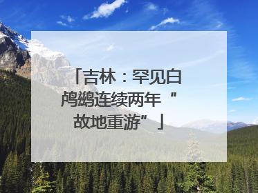 吉林：罕见白鸬鹚连续两年“故地重游”