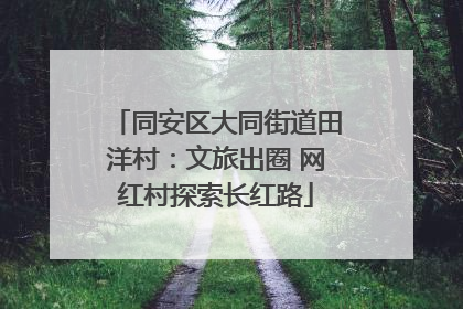 同安区大同街道田洋村：文旅出圈 网红村探索长红路