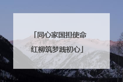 同心家国担使命 红柳筑梦践初心