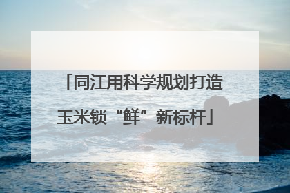 同江用科学规划打造玉米锁“鲜”新标杆