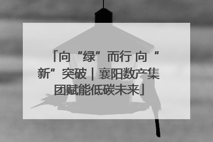 向“绿”而行 向“新”突破｜襄阳数产集团赋能低碳未来