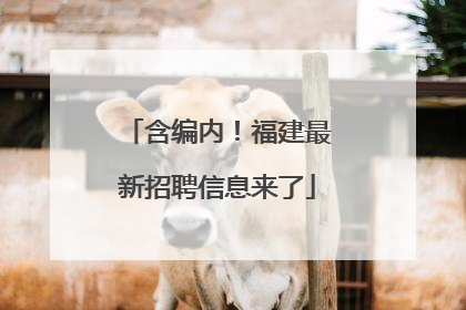 含编内！福建最新招聘信息来了