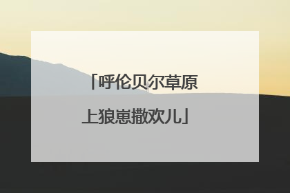 呼伦贝尔草原上狼崽撒欢儿