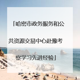 哈密市政务服务和公共资源交易中心赴豫考察学习先进经验