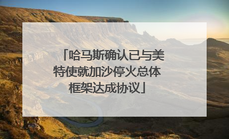 哈马斯确认已与美特使就加沙停火总体框架达成协议