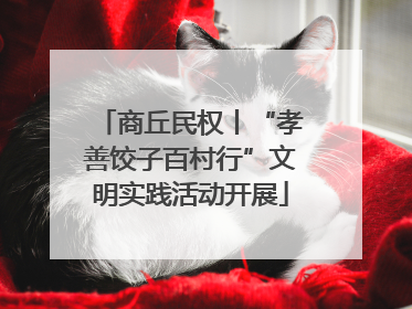 商丘民权丨“孝善饺子百村行”文明实践活动开展