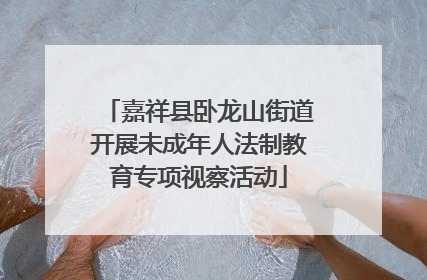 嘉祥县卧龙山街道开展未成年人法制教育专项视察活动