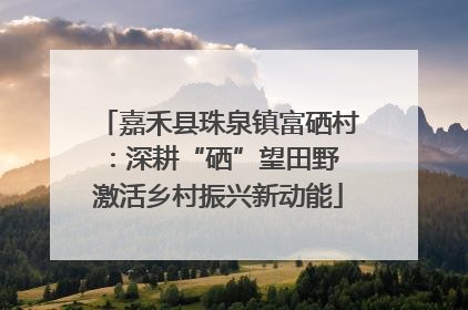 嘉禾县珠泉镇富硒村：深耕“硒”望田野 激活乡村振兴新动能