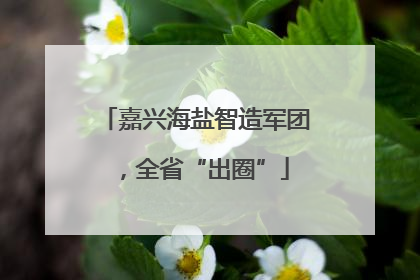 嘉兴海盐智造军团，全省“出圈”