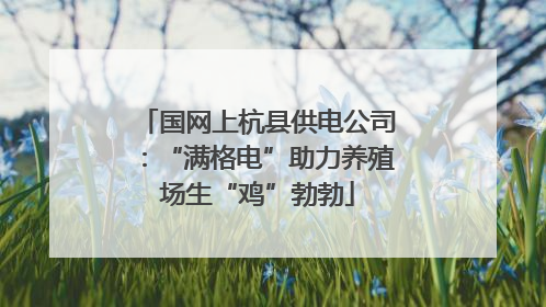 国网上杭县供电公司：“满格电”助力养殖场生“鸡”勃勃
