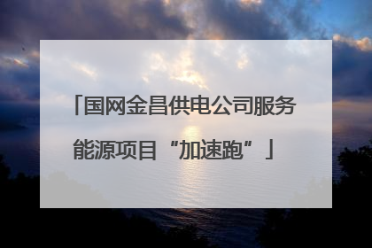 国网金昌供电公司服务能源项目“加速跑”